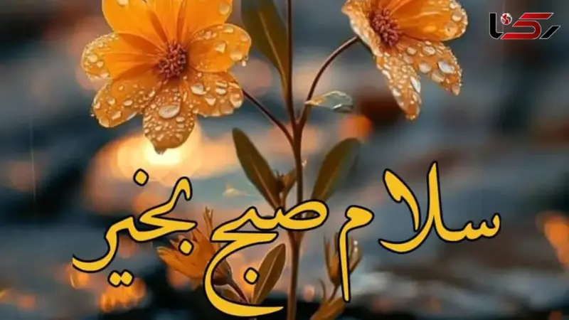فال ابجد امروز 29 آبان