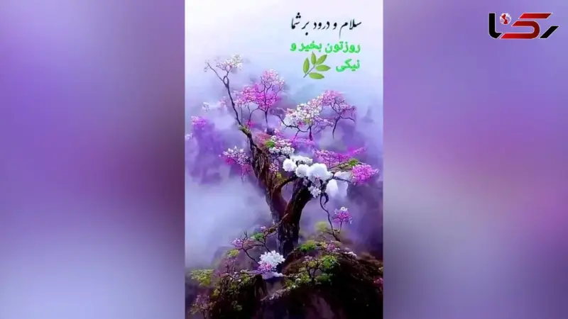 تعبیر فال و طالع بینی امروز 30 آبان