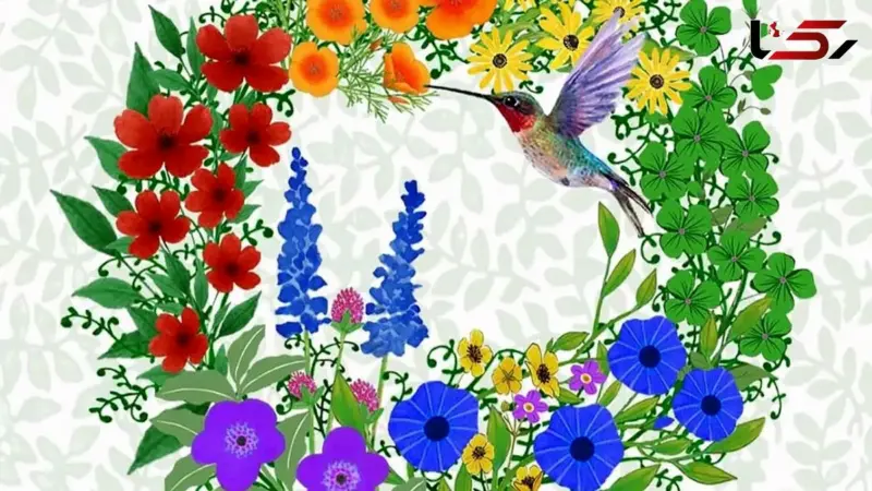 فال ابجد اول آذر؛ رمزگشایی اسرار چهار حرف الفبای فارسی برای امروز شما