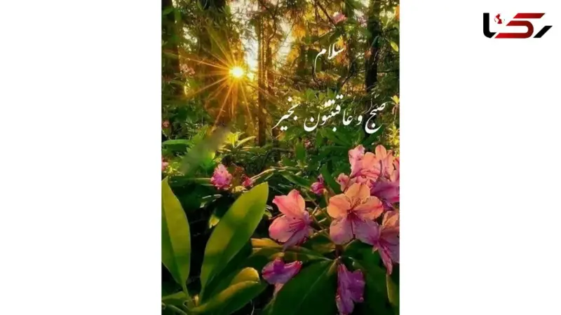 فال ابجد محشر 3 آذر