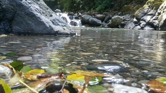 روستای چالدشت گیلان؛ خلوتگاه بکر و رویایی طبیعت‌گردان در دل جنگل‌های سرسبز