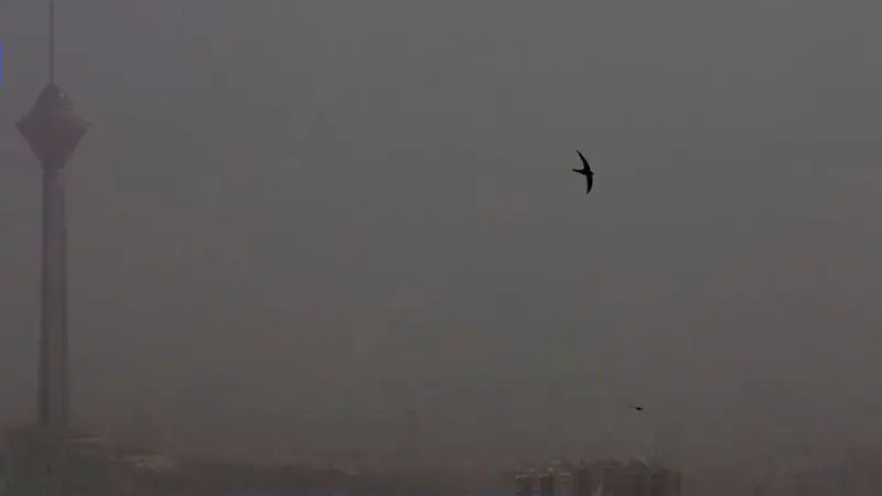 آلودگی نفس تهران را بریده؛ هوای ناسالم برای همه در پایتخت