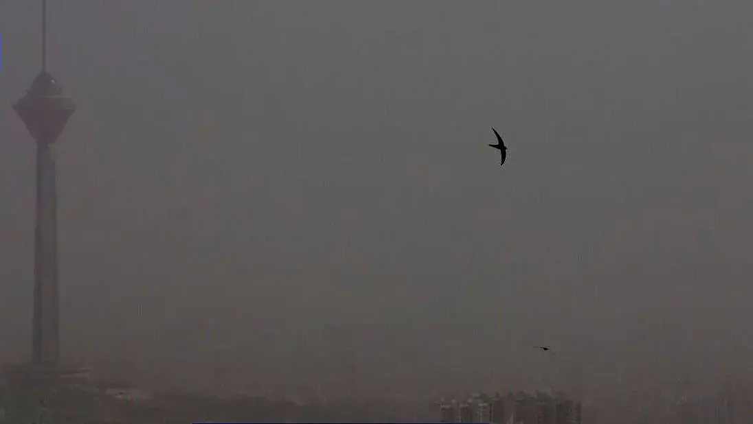 آلودگی نفس تهران را بریده؛ هوای ناسالم برای همه در پایتخت