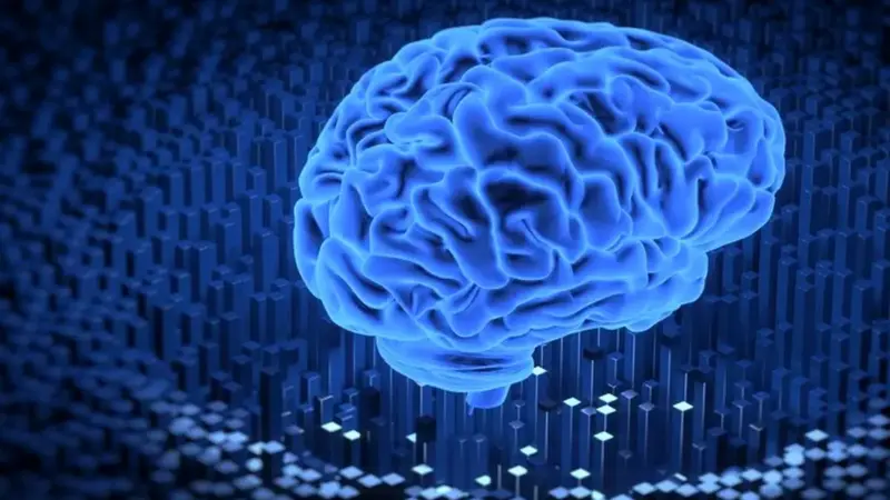 کشف چهار نقطه عطف عجیب در روند پیر شدن مغز انسان که همه را شگفت‌زده کرد