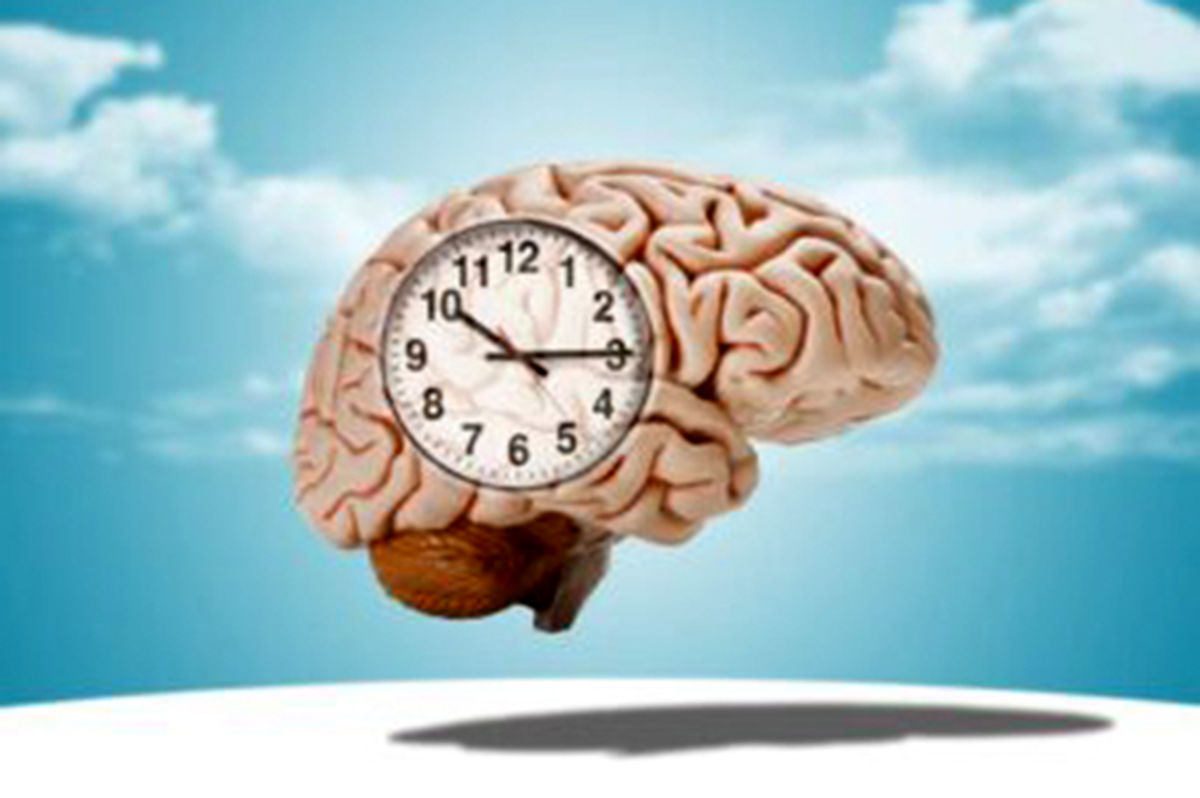 حقایقی شگفت‌انگیز درباره رشد مغز: چرا بلوغ مغز تا ۳۲ سالگی ادامه دارد؟