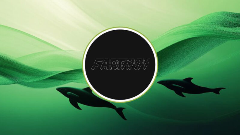 رشد انفجاری فارت‌کوین در آستانه رالی بزرگ؛ نهنگ‌ها چگونه بازار را تحت کنترل گرفته‌اند؟