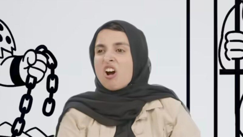 حکم سنگین دادگاه برای زینب موسوی به‌ جرم شوخی زشت با فردوسی