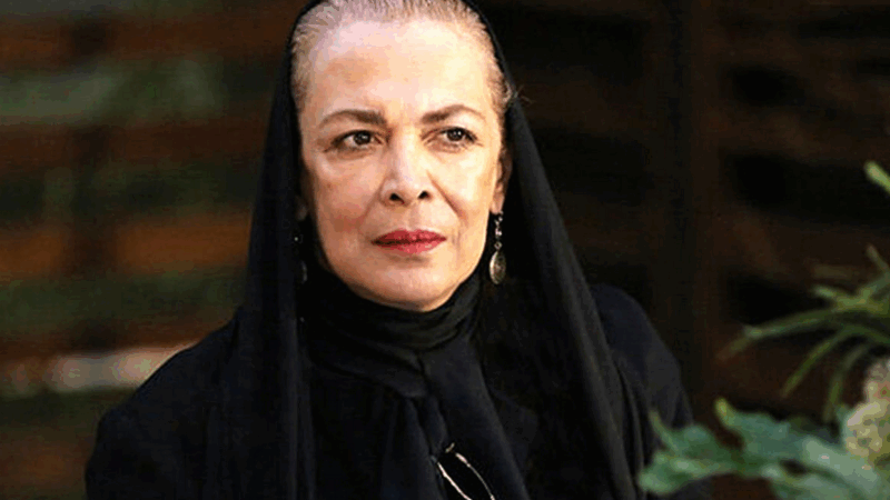 چهره جوان بیتا فرهی روی جلد مجلات قدیمی؛ یادبودی از بازیگری ماندگار