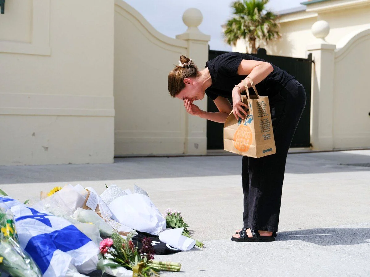 تویوتا کرولا کراس یا فرانتلندر هیبرید؟ راز تفاوت‌های اساسی این دو کراس‌اوور محبوب چیست؟