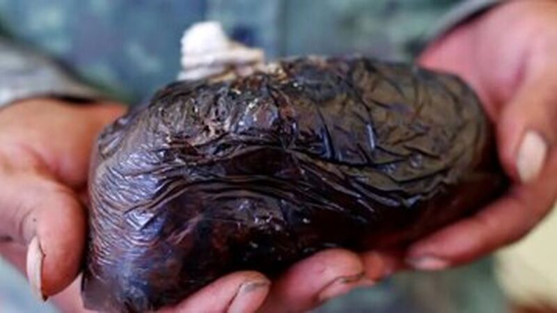 گم شدن حیرت‌انگیز ۵۰۰ تن تریاک سالانه در ایران؛ پشت پرده تفاوت نجومی قیمت‌ها چه رازهایی دارد؟