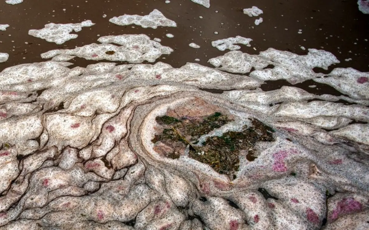 بازگشت زندگی به دریاچه مهارلو پس از بارش‌های بی‌سابقه پاییزی در فارس!