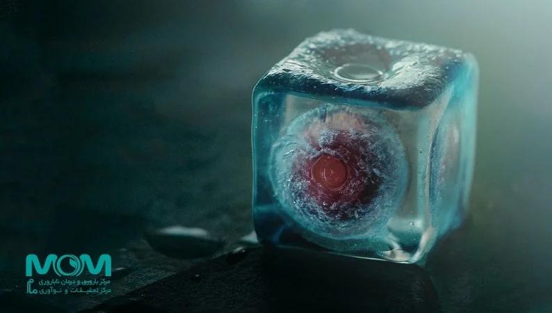 چرا فریز تخمک تبدیل به کلید طلایی تصمیمات حیاتی زنان امروز شده است؟