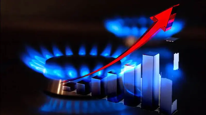 هشدار جدی مدیرعامل گاز ایران: محدودیت مصرف گاز در راه است؟