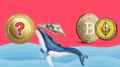 کوچ حیرت‌انگیز میلیاردی نهنگ‌ها از بیت‌کوین و اتریوم به ارز دیجیتال جدید!