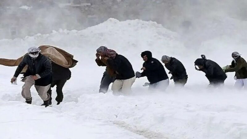 نجات معجزه‌آسای ۱۶۰۰ مهاجر افغان توسط مرزبانان تایباد در سرمای کشنده