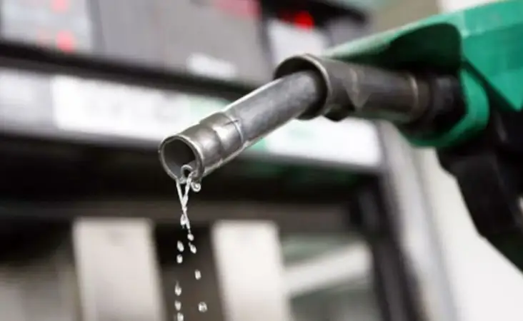 سفر به گذشته؛ چهره حیرت‌انگیز فریبا خاتمی در 70 سالگی که همه را شگفت‌زده کرد!