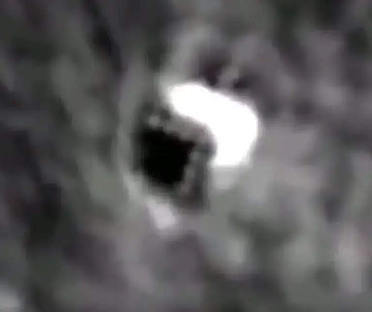 عکس| سفر زمان؛ چهرۀ «مهین دیهیم» بازیگر سینمای قبل از انقلاب در 31 سالگی در ششمین فیلمش