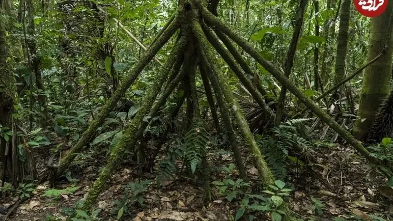 آیناز سریال آنام در 39 سالگی میان کودکان سیستان و بلوچستان؛ سفری به عمق زمان و احساسات
