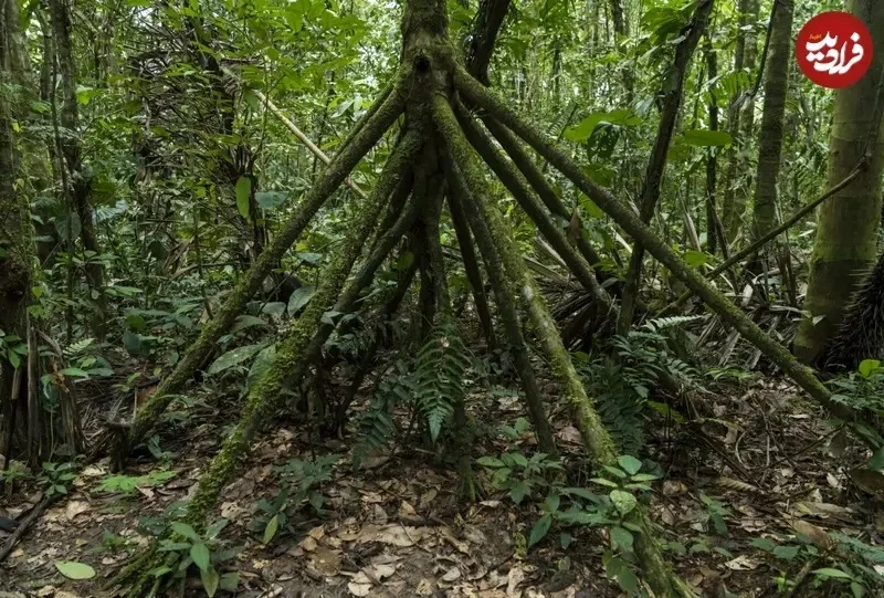 آیناز سریال آنام در 39 سالگی میان کودکان سیستان و بلوچستان؛ سفری به عمق زمان و احساسات