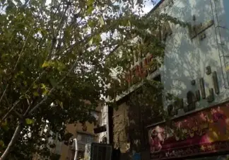 خاطرات نابی که کتایون ریاحی در قاب تصاویر زنده کرد!