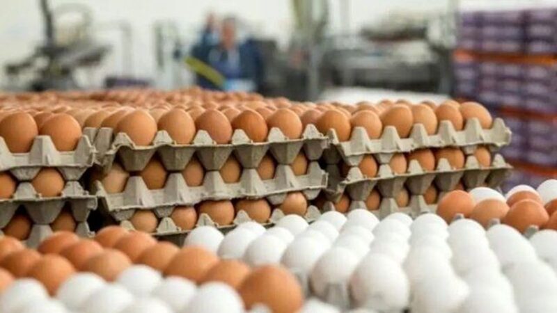 شوک قیمت در بازار تخم‌مرغ؛ دانه‌ای ۱۲ هزار تومان واقعی شد؟