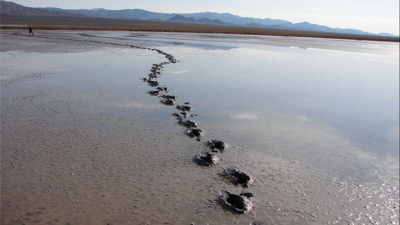 تالاب کجی نمکزار نهبندان پس از 18 ماه بی‌حالی، با بارش‌های پاییزی جان دوباره گرفت!