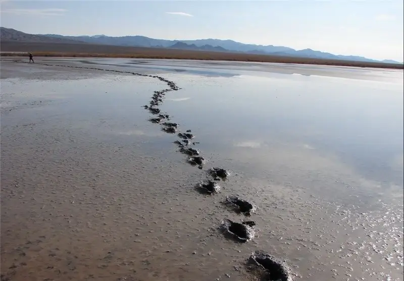 تالاب کجی نمکزار نهبندان پس از 18 ماه بی‌حالی، با بارش‌های پاییزی جان دوباره گرفت!