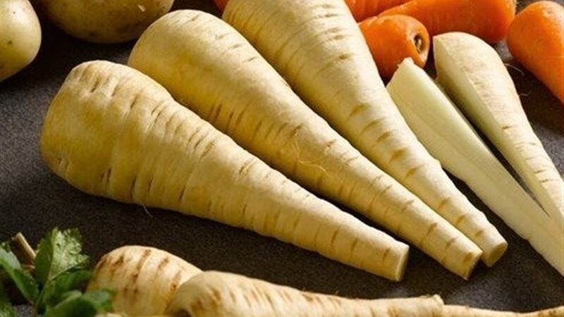 برداشت انبوه زردک ارگانیک خرانق اردکان؛ پیش‌بینی تولید ۲۵۰۰ تن در فصل جدید