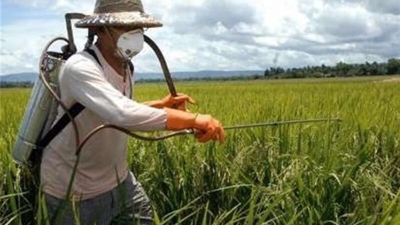 هشدار اجرای مبارزه پاییزه برای کنترل آفات