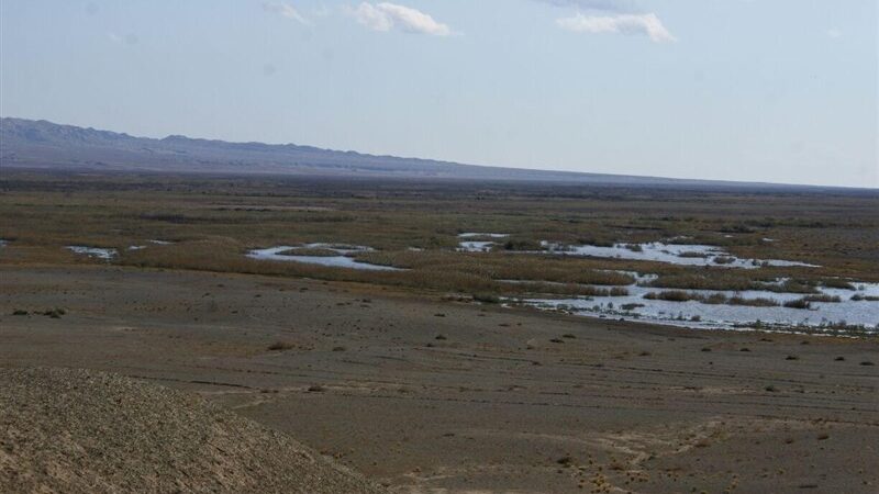 وضعیت نگران‌کننده تالاب بندعلیخان؛ 2 مصوبه رسمی دولت و استان هنوز وارد مرحله اجرا نشده است