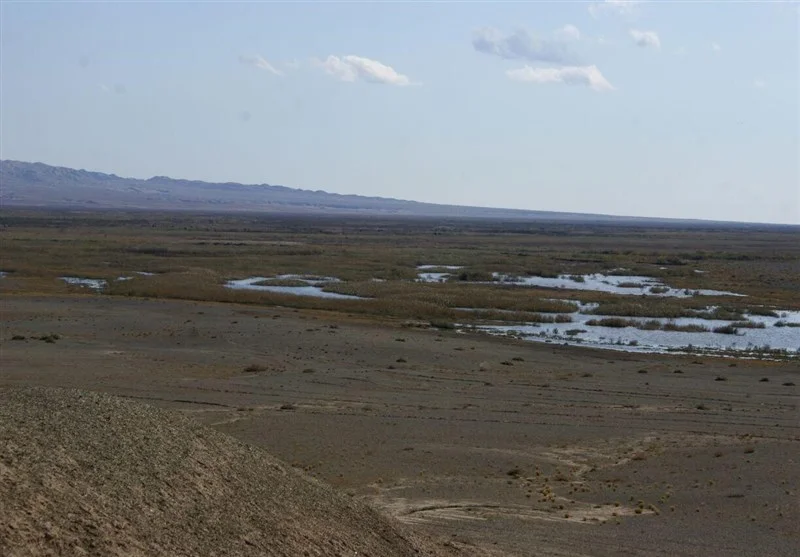 وضعیت نگران‌کننده تالاب بندعلیخان؛ 2 مصوبه رسمی دولت و استان هنوز وارد مرحله اجرا نشده است