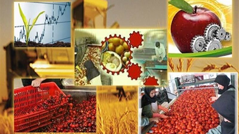 فعالیت 290 واحد صنایع تبدیلی در اردبیل؛ راهکاری برای جلوگیری از خام‌فروشی محصولات کشاورزی