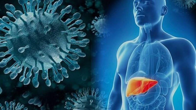 یزد در مسیر حذف هپاتیت C؛ نتایج درمان بیماران امیدبخش‌تر از همیشه!