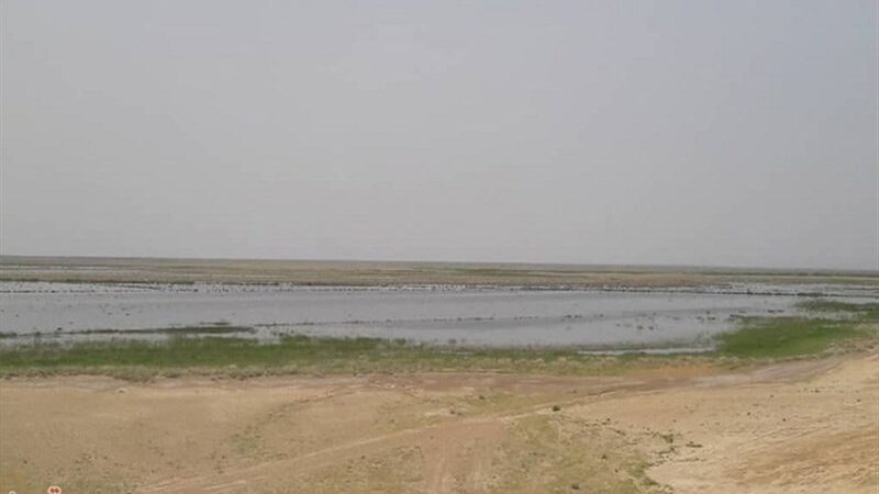 حق‌آبه ۳۰ درصدی تالاب بندعلیخان بالاخره تضمین شد؛ نفس تازه برای دشت ورامین