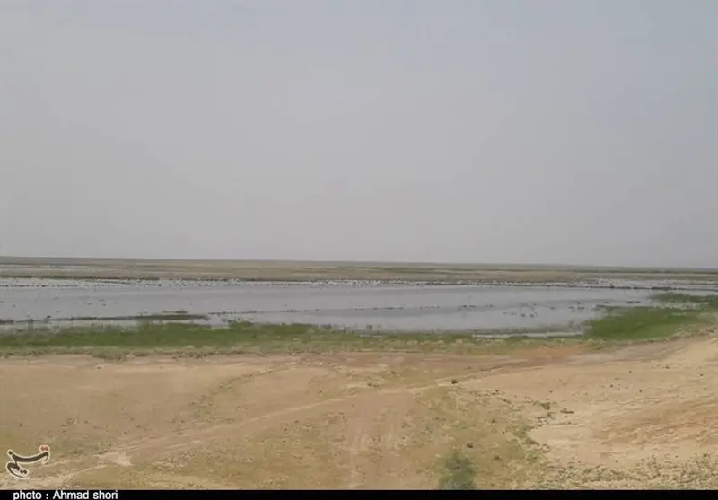 حق‌آبه ۳۰ درصدی تالاب بندعلیخان بالاخره تضمین شد؛ نفس تازه برای دشت ورامین