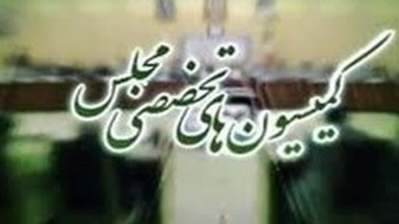 مجلس در هفته جاری؛ قیمت‌گذاری دستوری خودرو و گامی جدی برای حمایت از زنان!