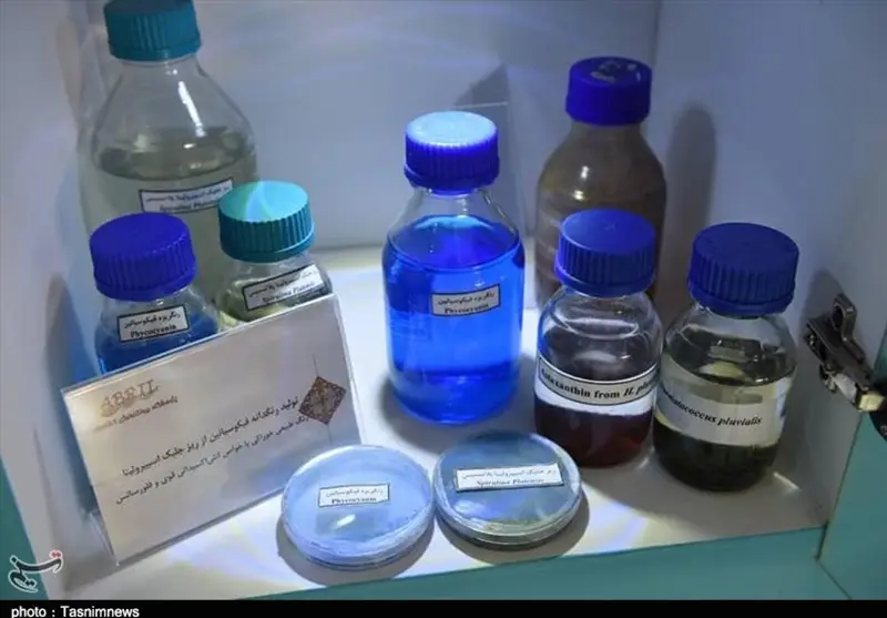 دانشگاه‌ها چگونه در نبرد با تغییر اقلیم پیشتاز شدند؟