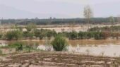 سیلاب‌های آذرماه بلوچستان 475 میلیارد تومان به کشاورزی ضربه زد!