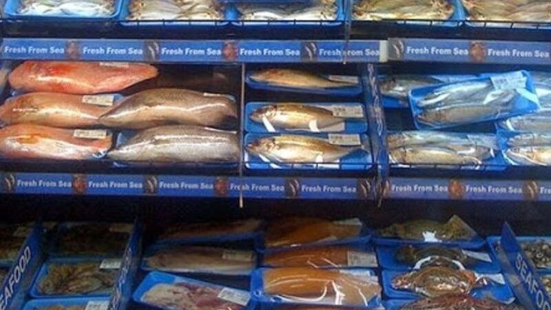 آغاز چهارمین نمایشگاه ملی صنایع شیلاتی بوشهر؛ فرصتی طلایی برای اقتصاد دریامحور