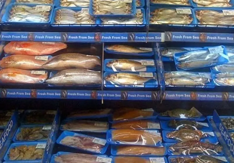 آغاز چهارمین نمایشگاه ملی صنایع شیلاتی بوشهر؛ فرصتی طلایی برای اقتصاد دریامحور - وب‌گردی