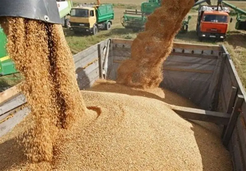 نامه هشدارآمیز رئیس کمیسیون کشاورزی به وزیر جهاد درباره بحران نهاده‌های دامی؛ اجرای فوری مصوبات چقدر ضروری است؟