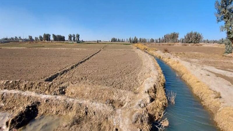 سرمایه ملی در سیستان چگونه به دست فراموشی سپرده شد؟ بررسی تلخ‌ترین اشتباهات مدیریتی