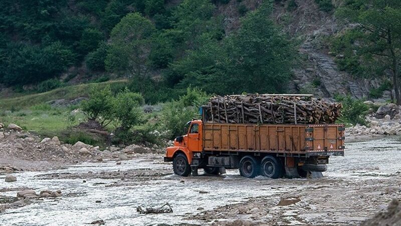 نفوذ قاچاقچیان چوب در لباس حافظان جنگل هیرکانی فاش شد!
