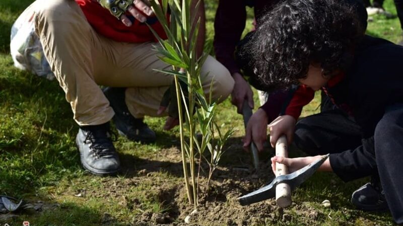 هر مدرسه یک نهالستان؛ سرمایه‌گذاری سبز برای نسل آینده در استان سمنان