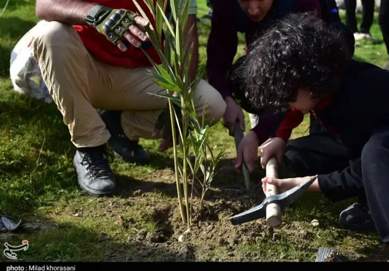 هر مدرسه یک نهالستان؛ سرمایه‌گذاری سبز برای نسل آینده در استان سمنان