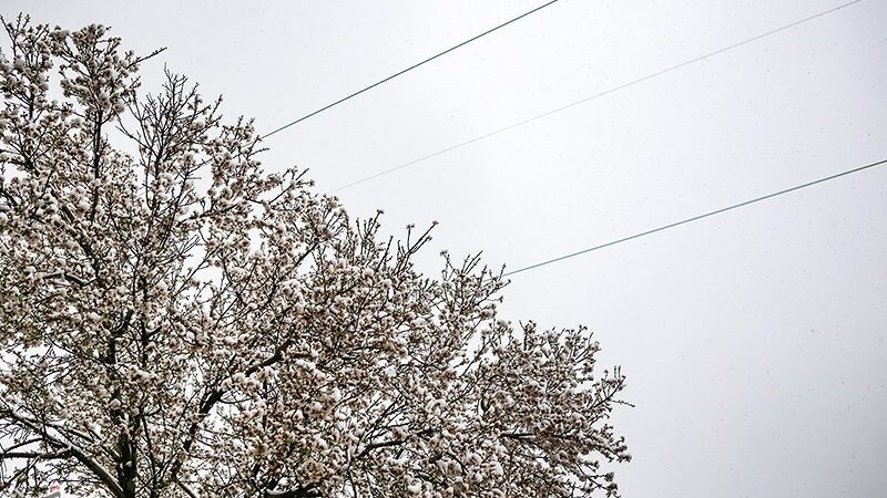 هشدار یخبندان در اصفهان؛ دمای هوا تا 8 درجه سقوط می‌کند!