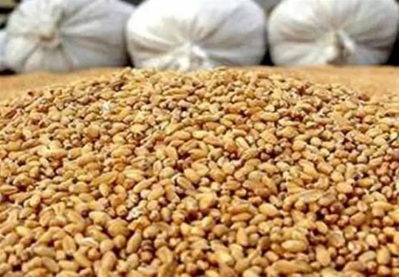 نهاده‌های دامی 80 هزار تومانی امنیت غذایی را تهدید می‌کند