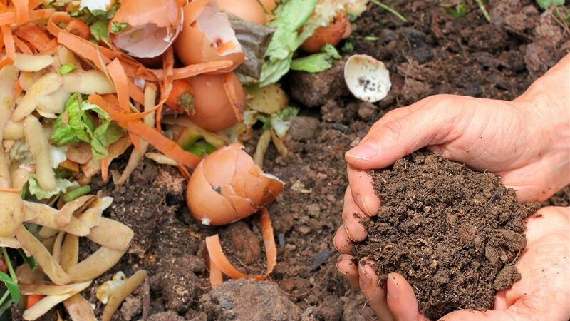 پیشرفت چشمگیر در کارخانه کمپوست بهشهر؛ خط تفکیک 250 تنی ظرف 6 ماه تکمیل می‌شود!