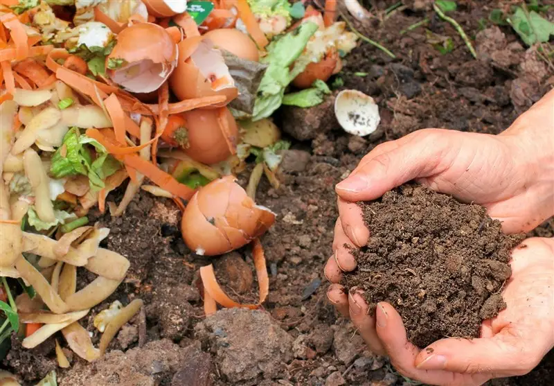 پیشرفت چشمگیر در کارخانه کمپوست بهشهر؛ خط تفکیک 250 تنی ظرف 6 ماه تکمیل می‌شود!