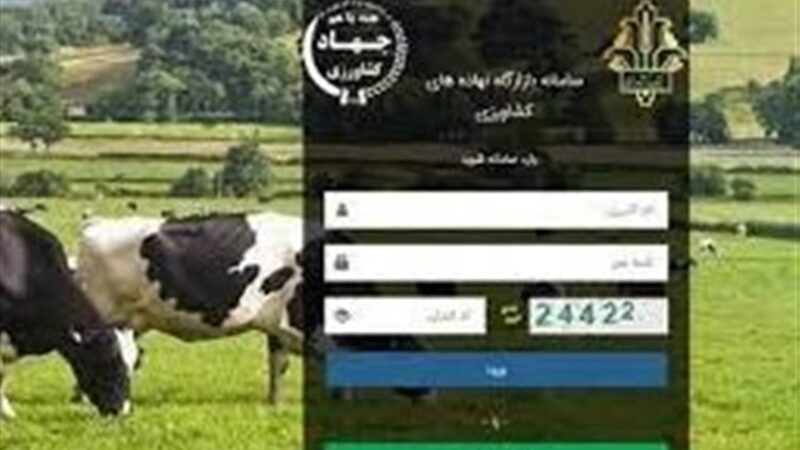افزایش برخوردها با فساد «پشت‌فاکتوری‌» در سامانه بازارگاه